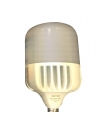لامپ حبابی ال ای دی 50 وات ZFR