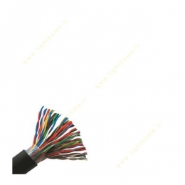 کابل زوجی زمینی 0.6×2×30 زرکابل کرمان مدل A2Y(ST)2Y