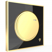 veera-switch-and-socket-model-alpha-cl-black-golden-middle