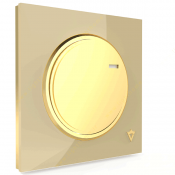 veera-switch-and-socket-model-alpha-sport-beige-golden-middle