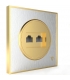 veera-switch-and-socket-model-alpha-cl-silver-golden-middle