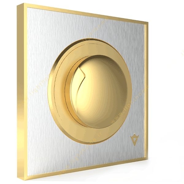 veera-switch-and-socket-model-alpha-cl-silver-golden-middle