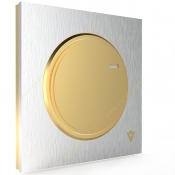 veera-switch-and-socket-model-alpha-sport-silver-golden-middle