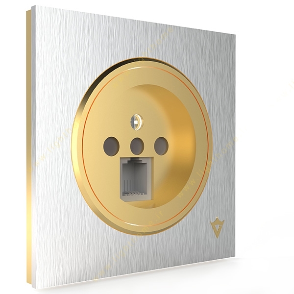 veera-switch-and-socket-model-alpha-sport-silver-golden-middle