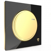 veera-switch-and-socket-model-alpha-sport-black-golden-middle