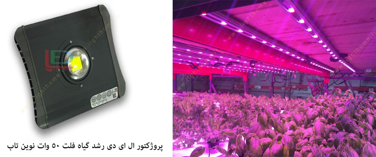 پروژکتور ال ای دی رشد گیاه فلت 50 وات نوین تاب سری ++A