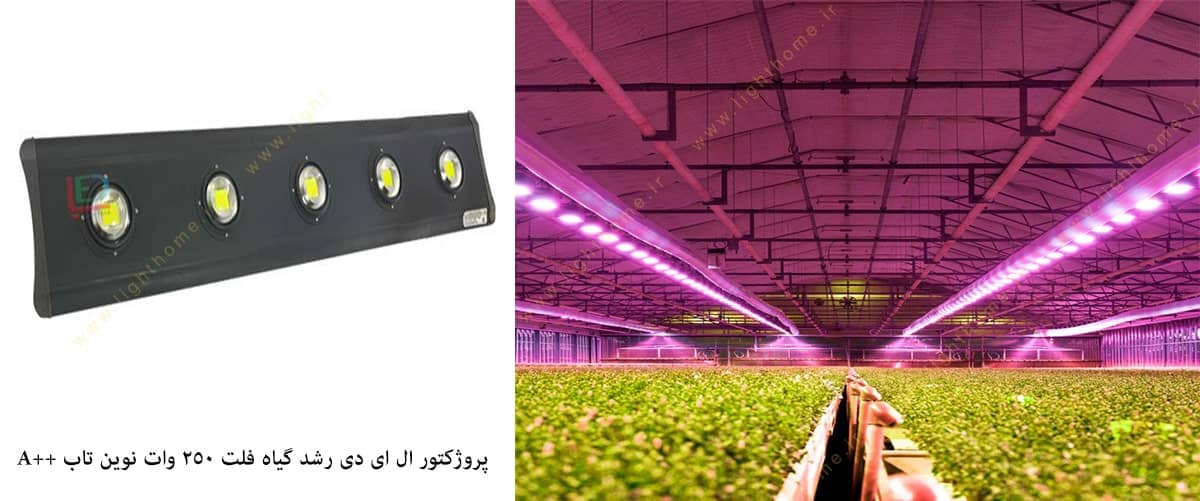 novintab-grow-led-flood-light-100w-a++