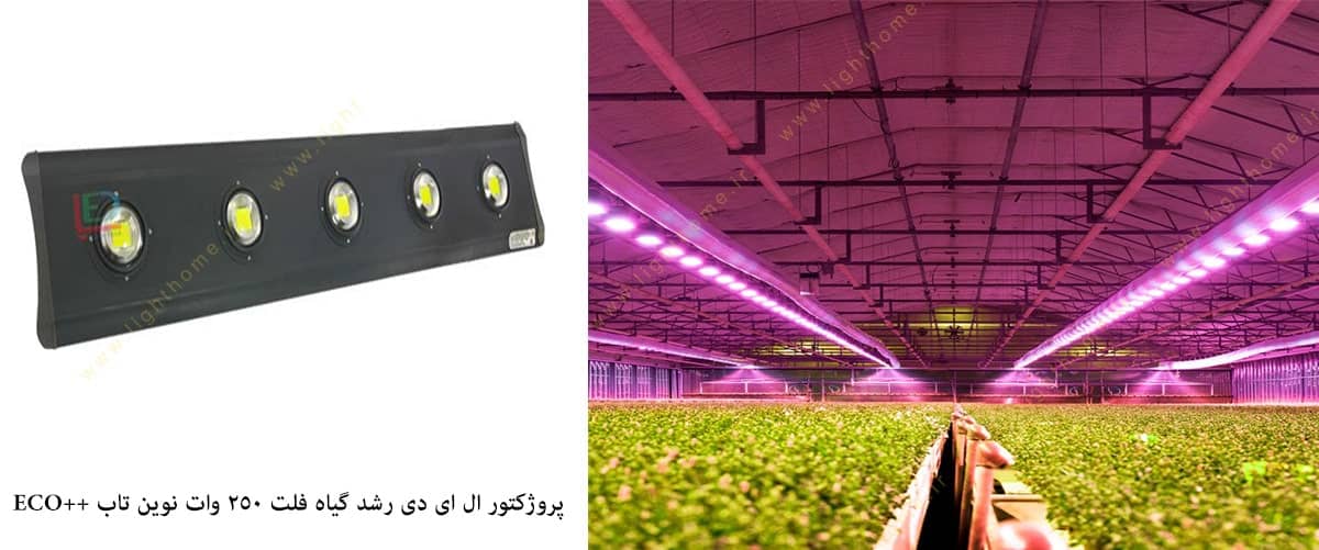 پروژکتور ال ای دی رشد گیاه فلت 250 وات نوین تاب سری ++ECO