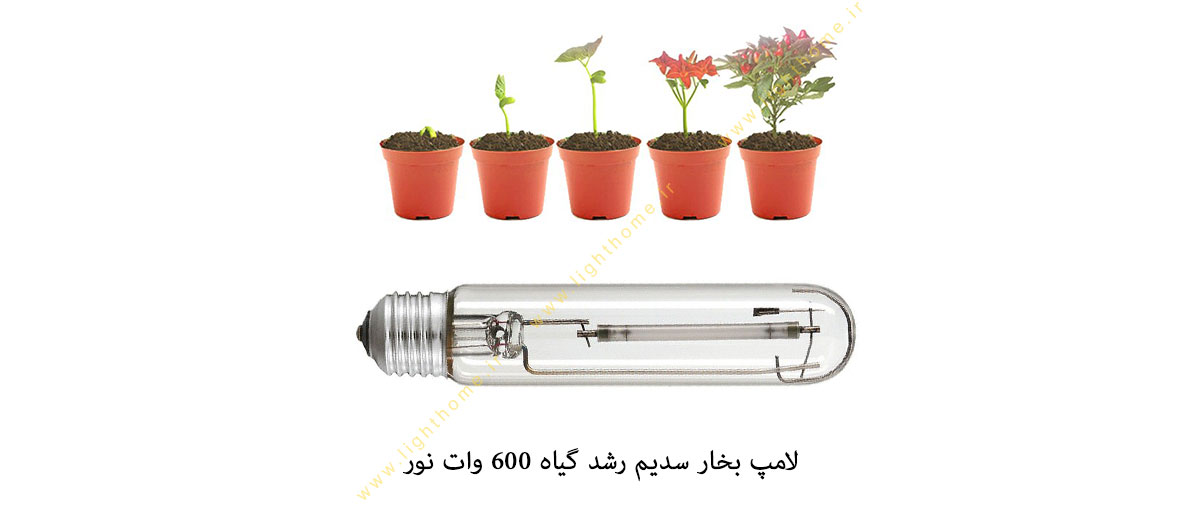 لامپ رشد گیاه 600 وات بخار سدیم نور