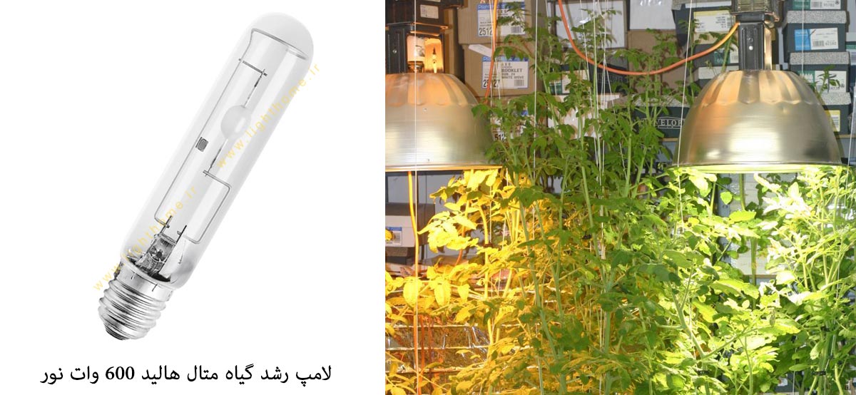 لامپ رشد گیاه 600 وات متال هالید نور