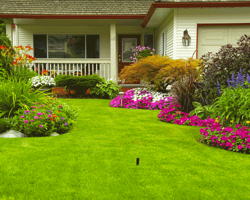 خانه هوشمند آبیاری هوشمند گیاهان