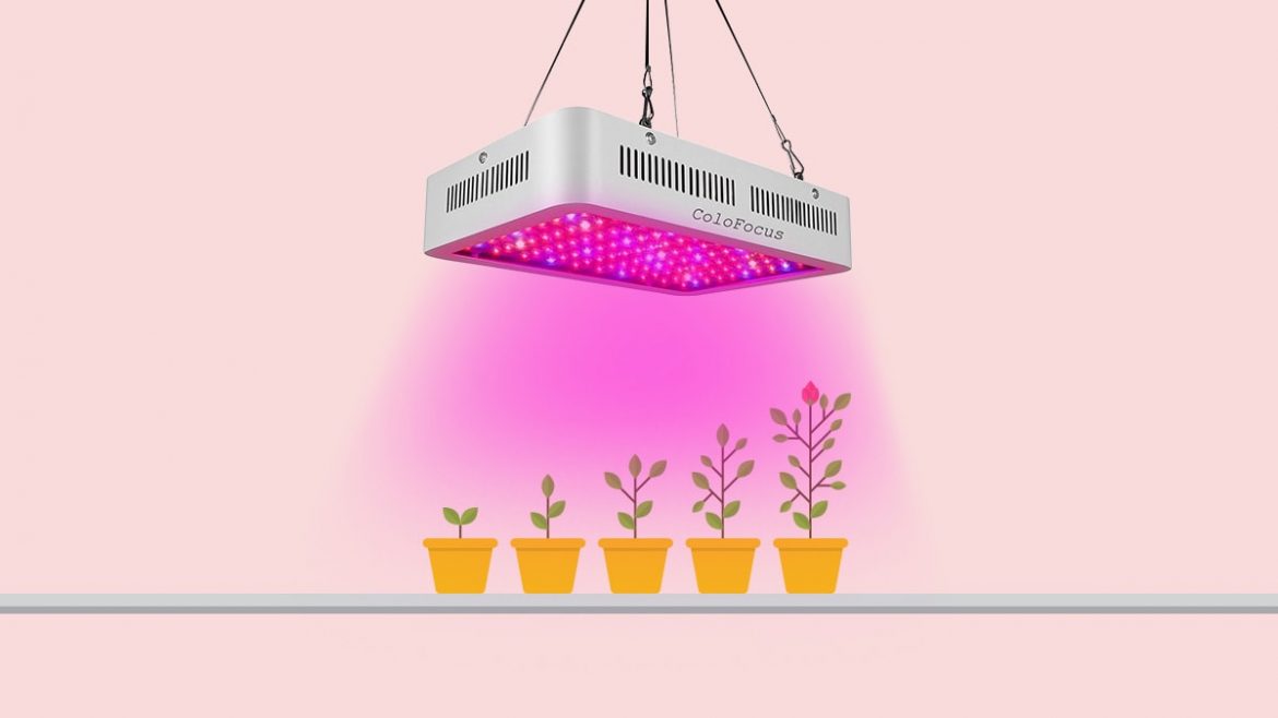 plant-growth-light چراغ رشد گیاه