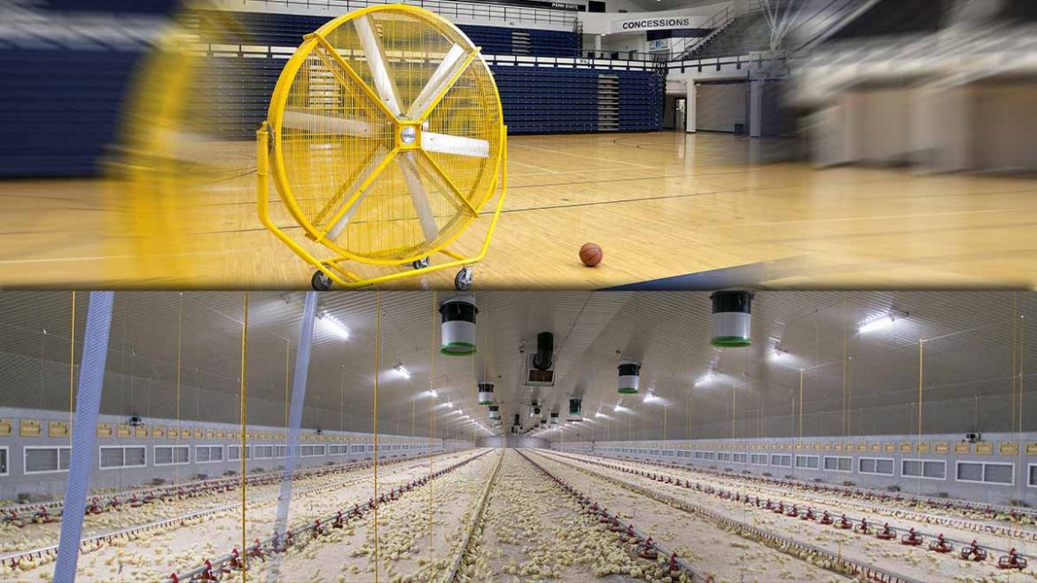 هواکش باشگاه و فن مرغداری